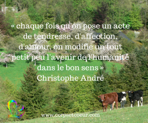 Citation Christophe André